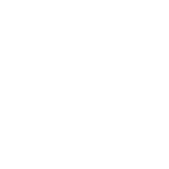 Security shield icon representing default security features